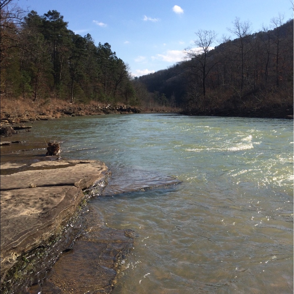 Meet your Posher, Roger