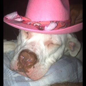 Meet your Posher, Robin