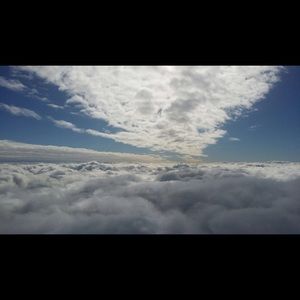 Meet your Posher, Virginia