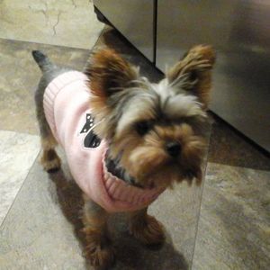 Meet your Posher, Lori