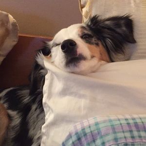 Meet your Posher, Heather