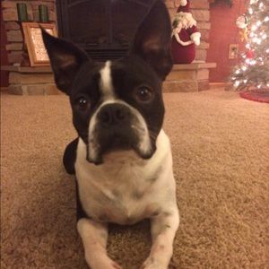 Meet your Posher, Morgan