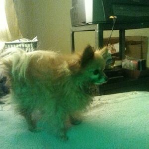 Meet your Posher, Barbara