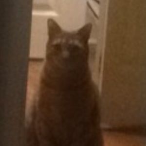 Meet your Posher, Alexandra