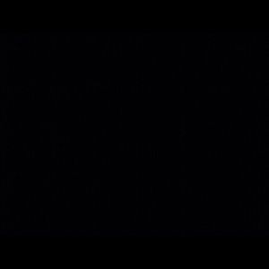 Meet your Posher, Anne