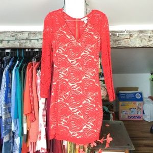 Red Rose Target Dress