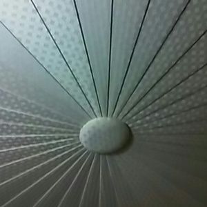 Meet your Posher, Pat