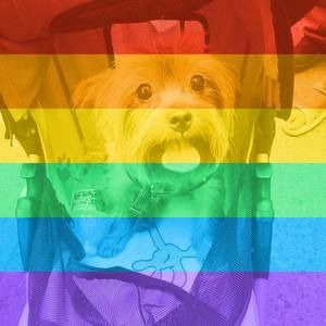 Meet your Posher, Jeannette