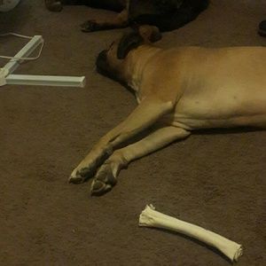 Meet your Posher, Joe