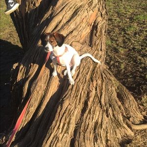 Meet your Posher, Margretta