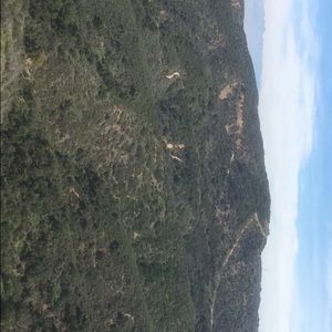 Meet your Posher, Tan