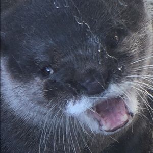 Meet your Posher, Michaela