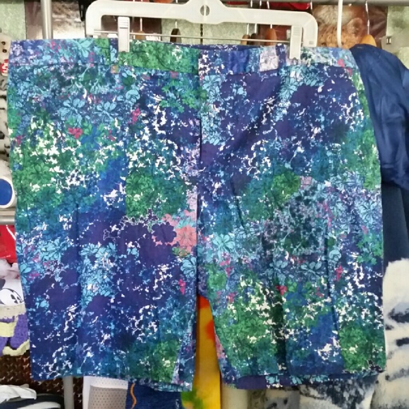Coldwater Creek shorts - Picture 1 of 3