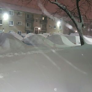 Meet your Posher, Alba