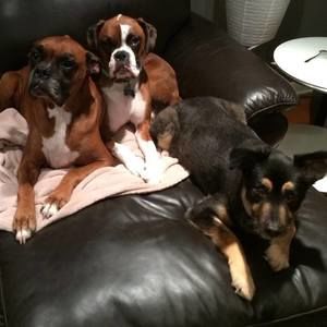 Meet your Posher, Ryan