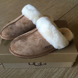 ugg scuffette ll slippers size 7