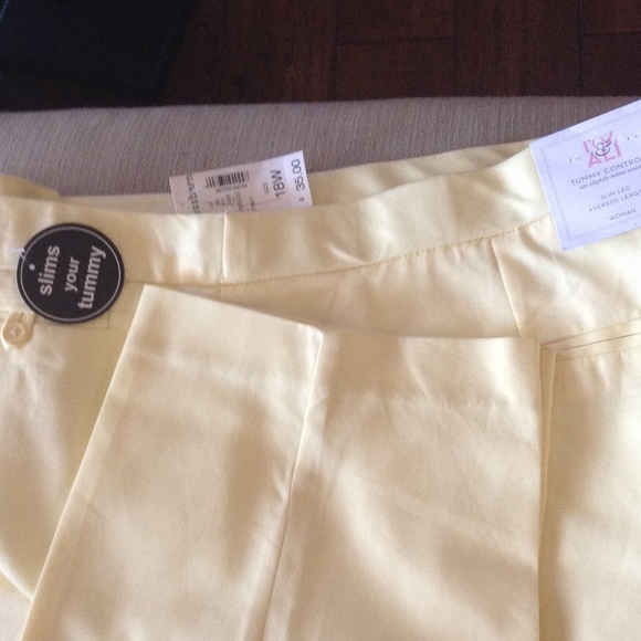 DRESS BARN SPRING SLACKS - Picture 1 of 1