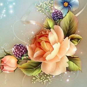 Meet your Posher, Sandy