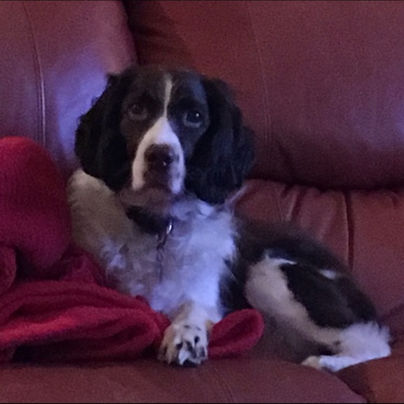 Meet your Posher, Faye 💋 - Picture 3 of 3