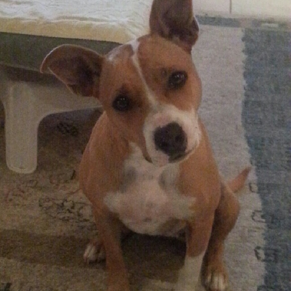 Meet your Posher, Shawn