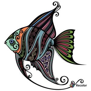 Meet your Posher, Carla