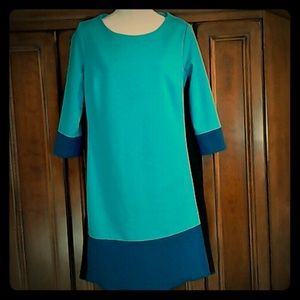 New York & Company Stretch Color Block Dress