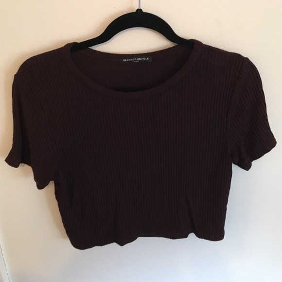 Brandy Melville burgundy crop top