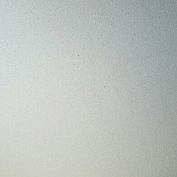 Meet your Posher, Taleonia