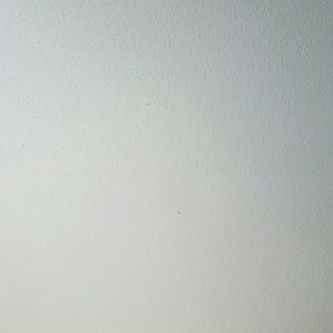 Meet your Posher, Taleonia