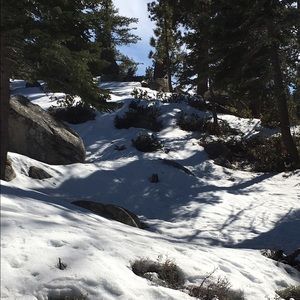 Meet your Posher, Yzelt