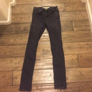 French Connection Denim