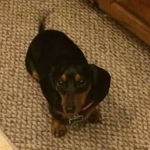 Meet your Posher, Raelynn