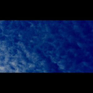 Meet your Posher, Bob