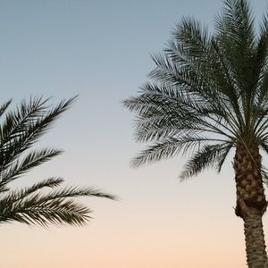 Meet your Posher, Brigid