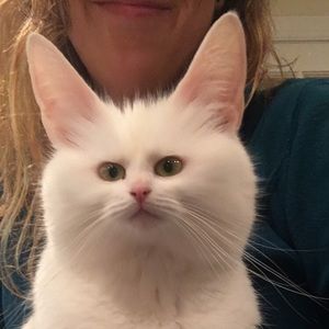 Meet your Posher, Gail