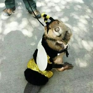 Meet your Posher, Christy