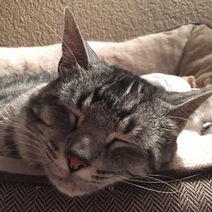 Meet your Posher, Kathleen