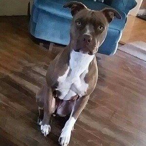 Meet your Posher, Cameron