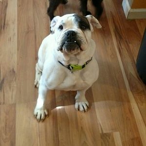 Meet your Posher, Brittany