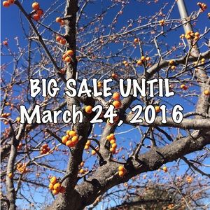 CLOSET CLOSING SALE!!