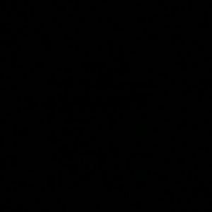 Meet your Posher, Jai