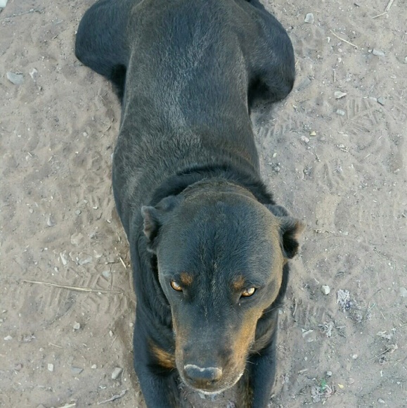 Offers needed - Picture 2 of 4