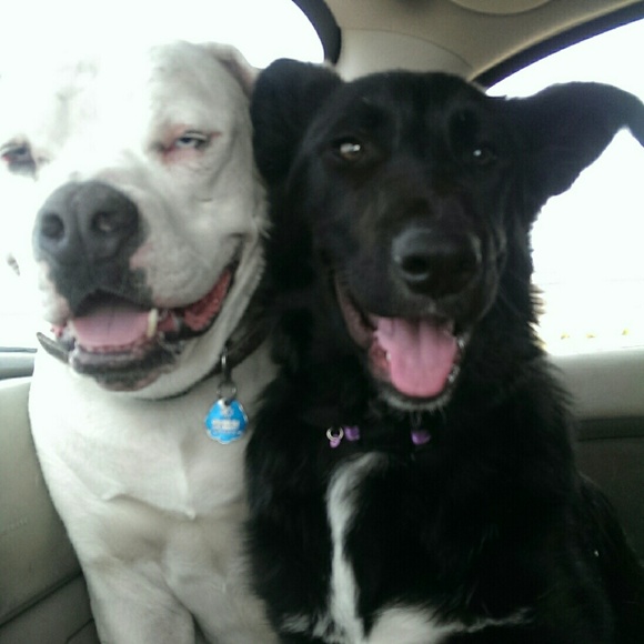 Offers needed - Picture 4 of 4