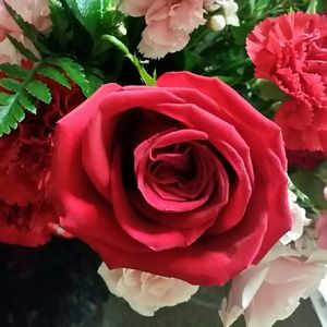 Meet your Posher, Debbie