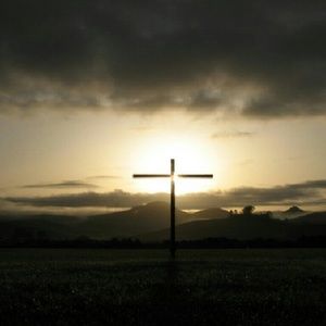 Meet your Posher, Maxine