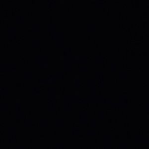 Meet your Posher, Brady