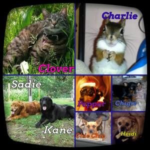 Meet your Posher, Heather