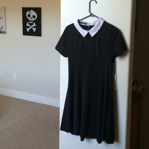 Contrast Collar Skater Dress
