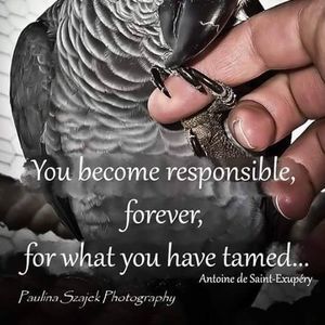 Meet your Posher, Lynn