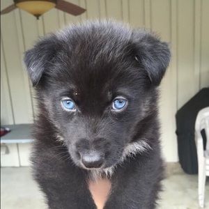 Meet your Posher, Jacky